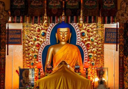 Dharamshala & Bir Paragliding Tour