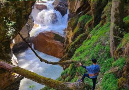 Kasol Tempo traveller Hire