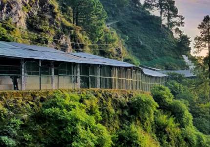 Katra Tempo traveller Hire