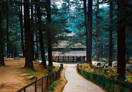 Shimla & Manali Tour from Chandigarh – 6 Days