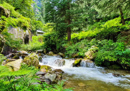 Manali Tempo traveller Hire