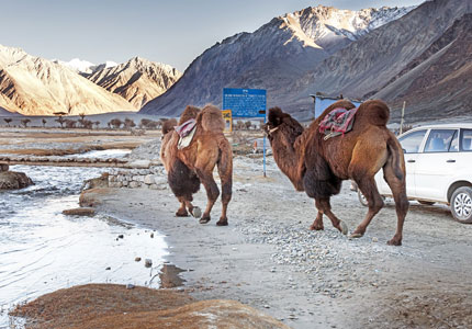 9-Days Leh Ladakh Journey from Chandigarh