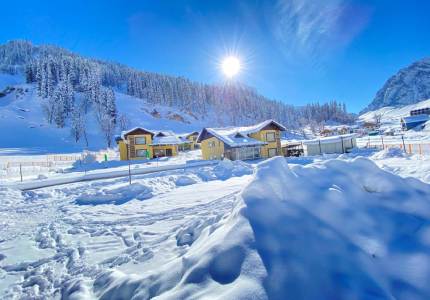Srinagar Leisure Tour from Chandigarh