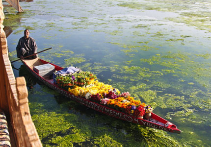 Srinagar Tempo traveller Hire