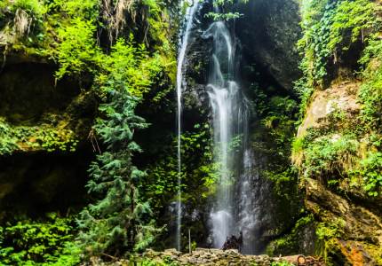 Jibhi Tempo traveller Hire