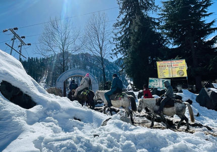 Explore Manali with Our Tempo Travellers